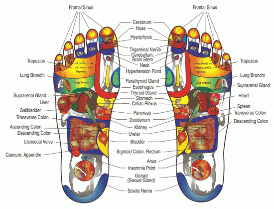 Foot Reflex zone map